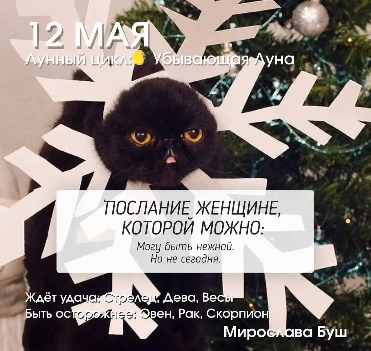 12 мая РЕКОМЕНДАЦИИ 🔥  Убывающая Луна, освещённость примерно 3–6%. Энергия почти на минимуме — цикл 