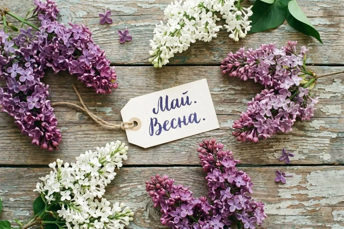 С 1 Мая! 🌸 Пусть праздник Весны и Труда подарит вам отличное настроение, тепло солнечных дней и радо