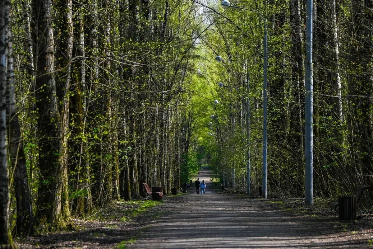 «Активные граждане» выбирают любимые парки Москвы  🌳 На портале «Активный гражданин» стартовал специ