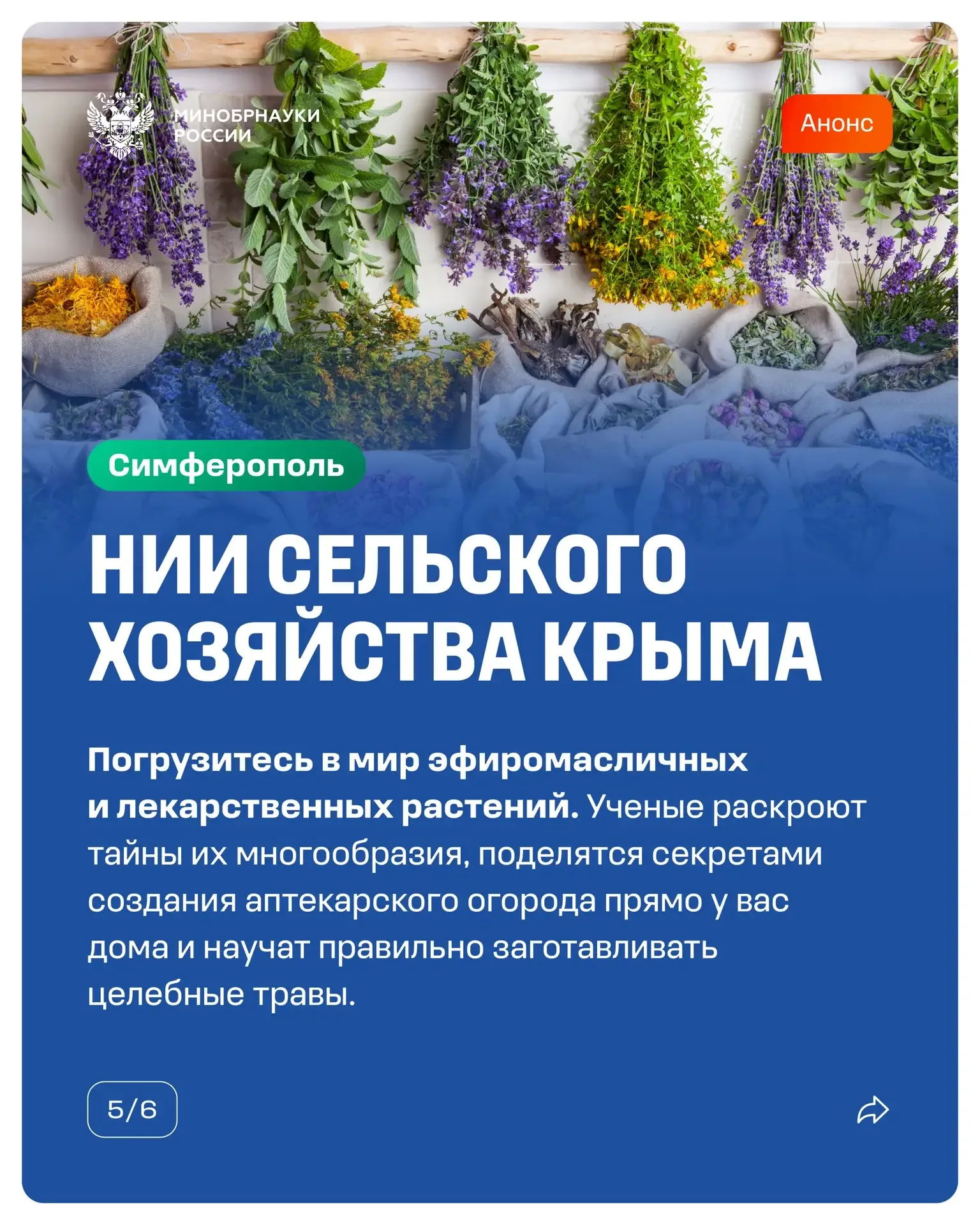🗓️ 16 мая научные и образовательные организации Минобрнауки России приглашают вас на акцию «Ночь нау