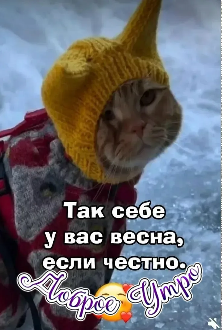 Короче - ДУБАК 🌻  Ставьте ♥️👍🙏 Делитесь с друзьями и подписывайтесь!