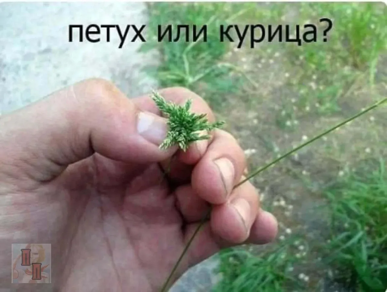 Кто играл в детстве в такую игру?😊