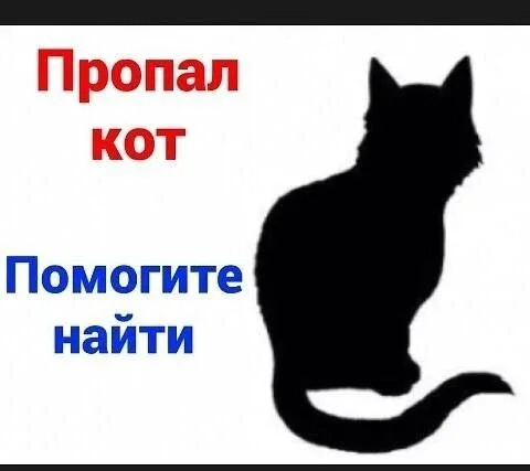 Нам пишут:  - В станице Губской, в районе остановки улицы Нефтяников, у бабушки потерялся любимый пи