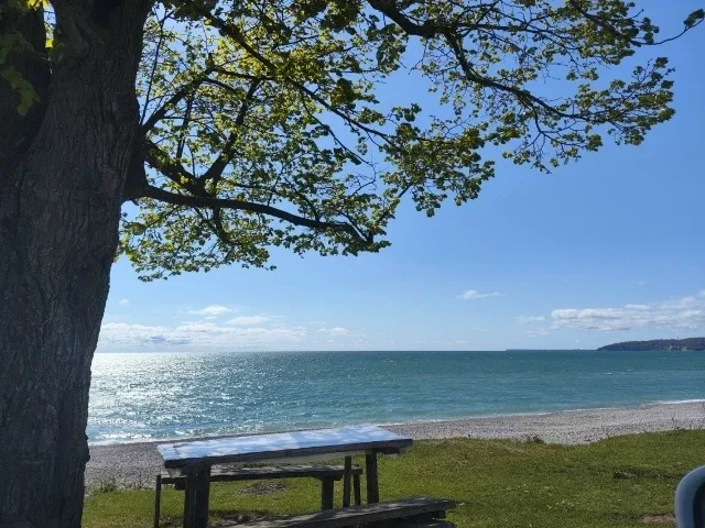 #АБХАЗИЯ #ГУДАУТА  р-н, речка Белая (вода чистейшая).  🌊 Абхазия  Рядом: дача Сталина, термальный ис