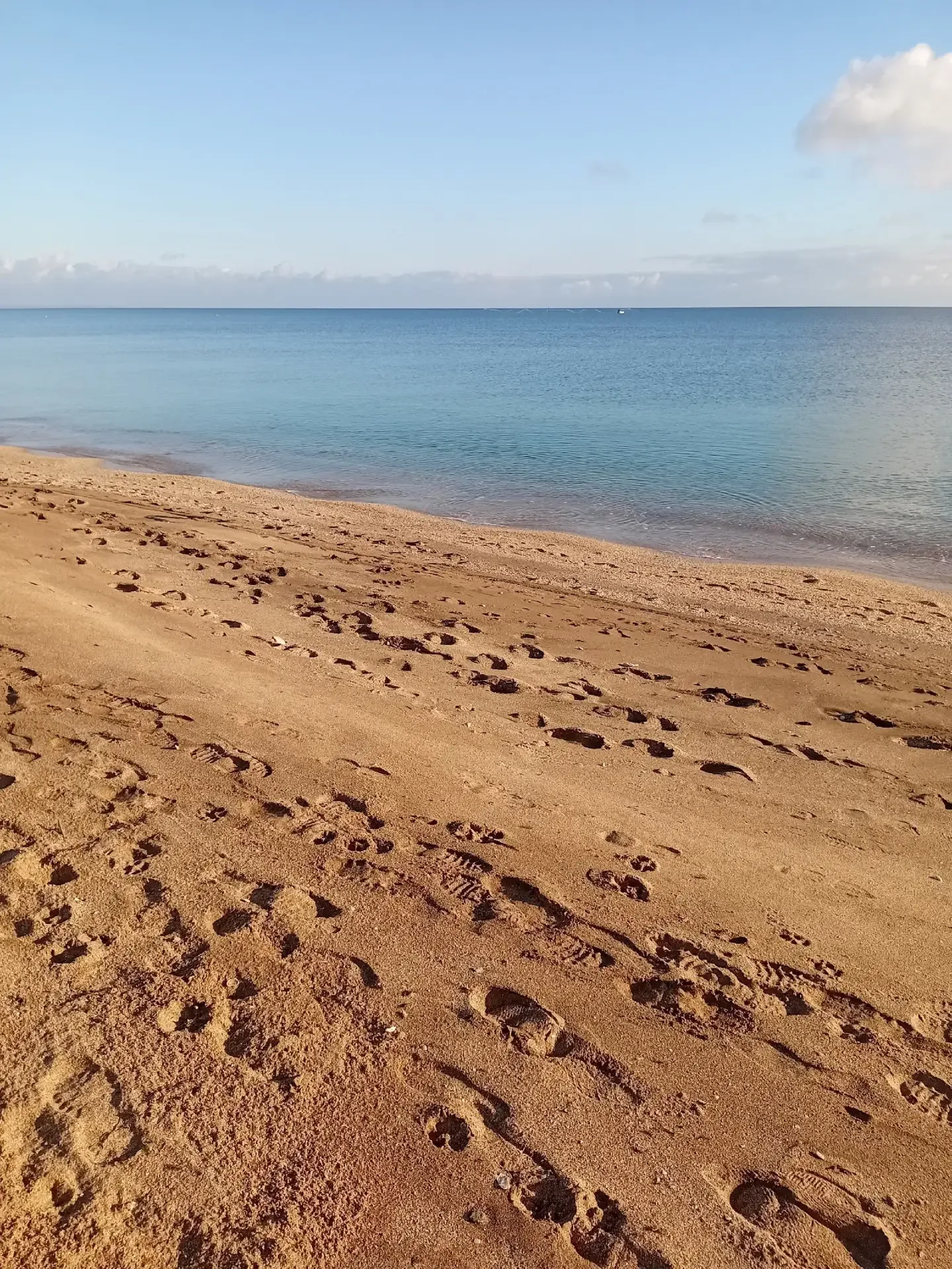 #ФЕОДОСИЯ #БЕРЕГОВОЕ  Гостевой дом «Солнечный» Открыто бронирование на сезон 2026г. Наш гостевой дом