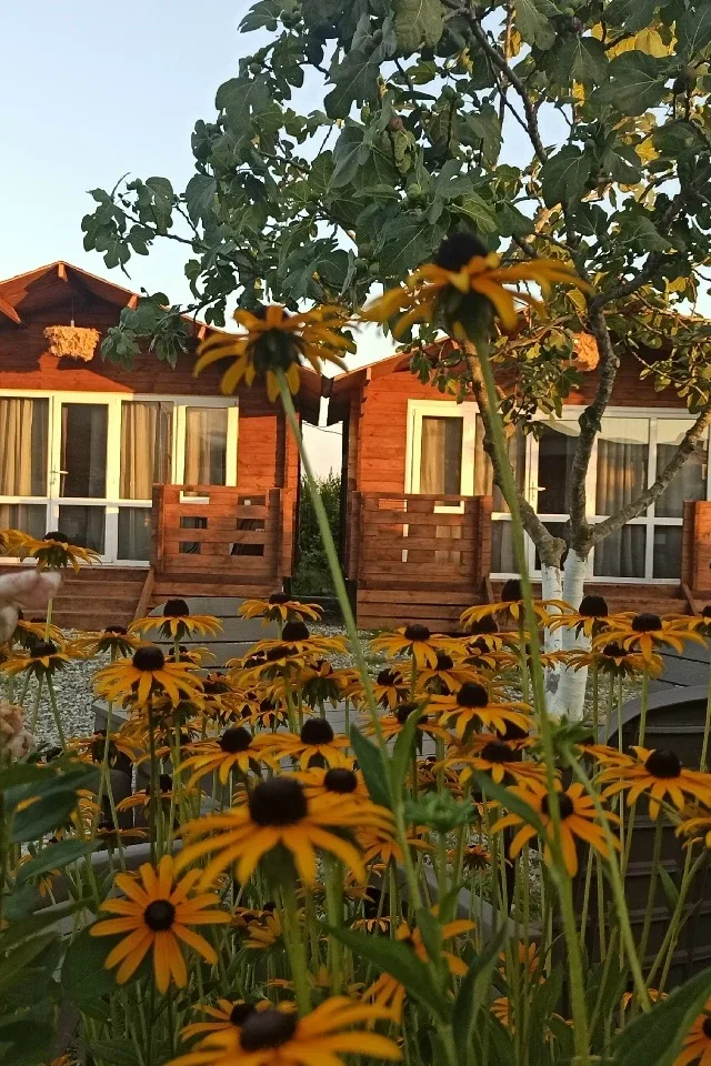 #ГАГРА  ул.Чанба 4 переулок дом 15  🏡 ⛱ сдаются домики под ключ со всеми удобствами,в домике есть ко