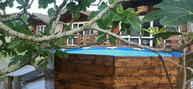 #ГАГРА  ул.Чанба 4 переулок дом 15  🏡 ⛱ сдаются домики под ключ со всеми удобствами,в домике есть ко