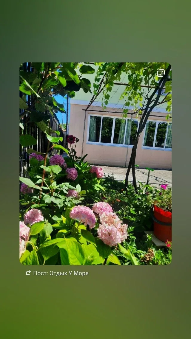 #ЦАНДРИПШ улица Эшба 3ий переулок дом 5.  Наш гостевой дом находится не долеко от границы. До моря 6