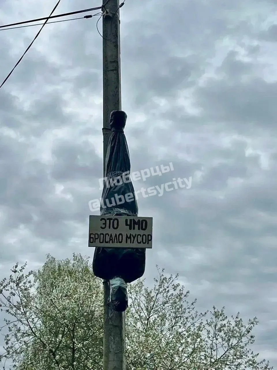 Креативный подход в деле борьбы с мусором в Малаховке  🚀 Мы в ТГ: t.me/lubertsycity 📲 Мы в Max: max.