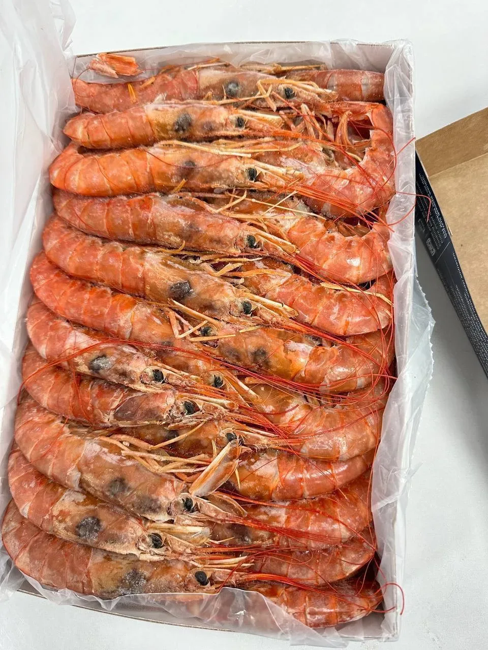 Гастрономические тренды приходят и уходят, а креветки остаются 🦐👑  Почему? Потому что это:  • Универ