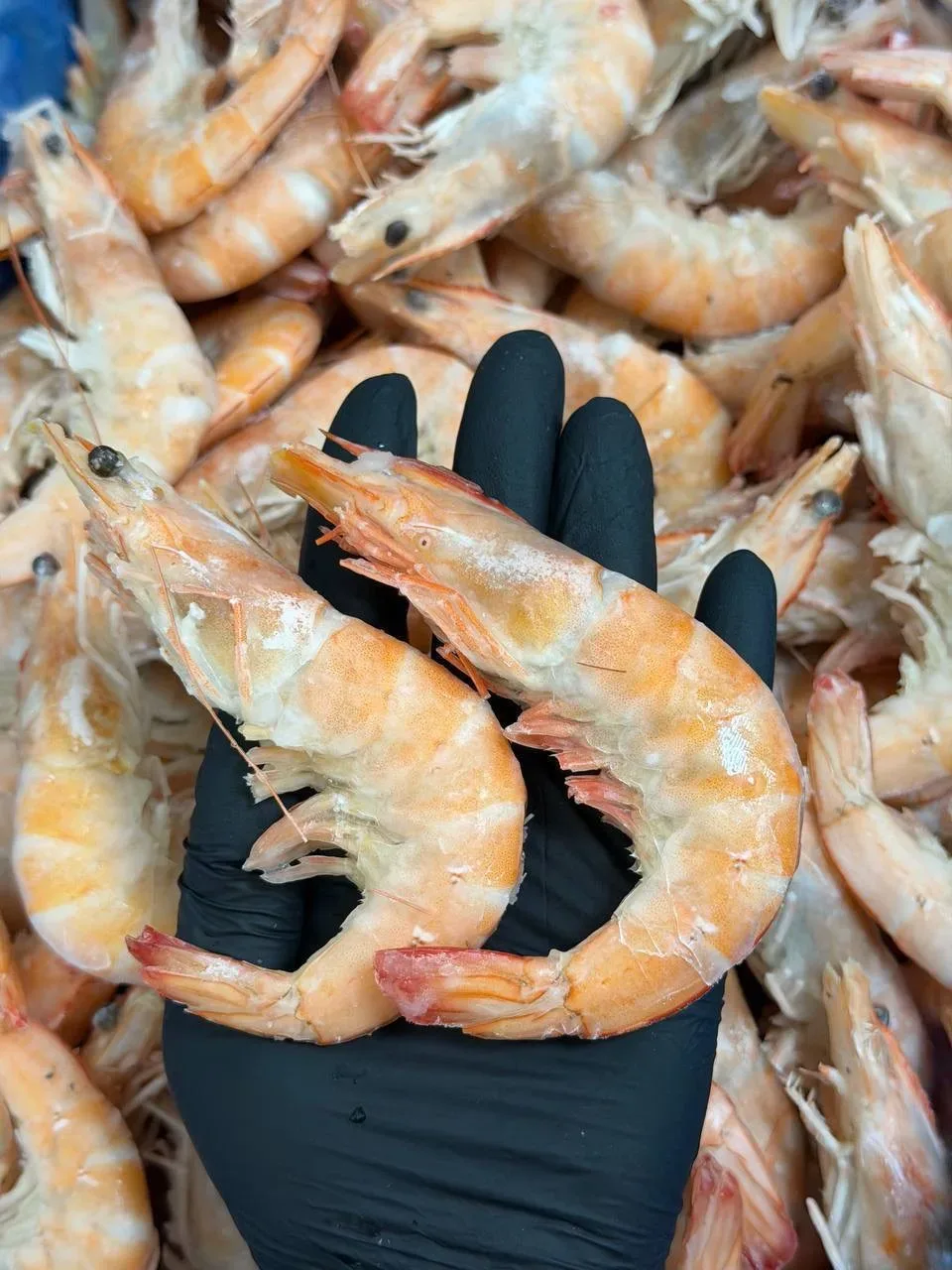 Гастрономические тренды приходят и уходят, а креветки остаются 🦐👑  Почему? Потому что это:  • Универ