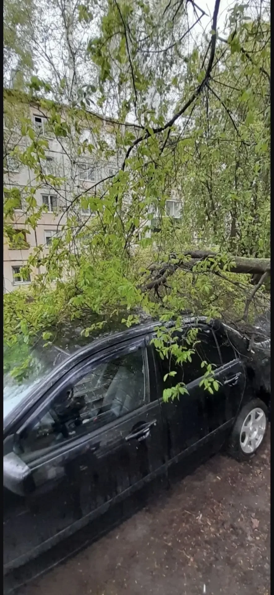 На ул. Советская 7  НЕ ЗАБУДЬ ПОДПИСАТЬСЯ ⤵️