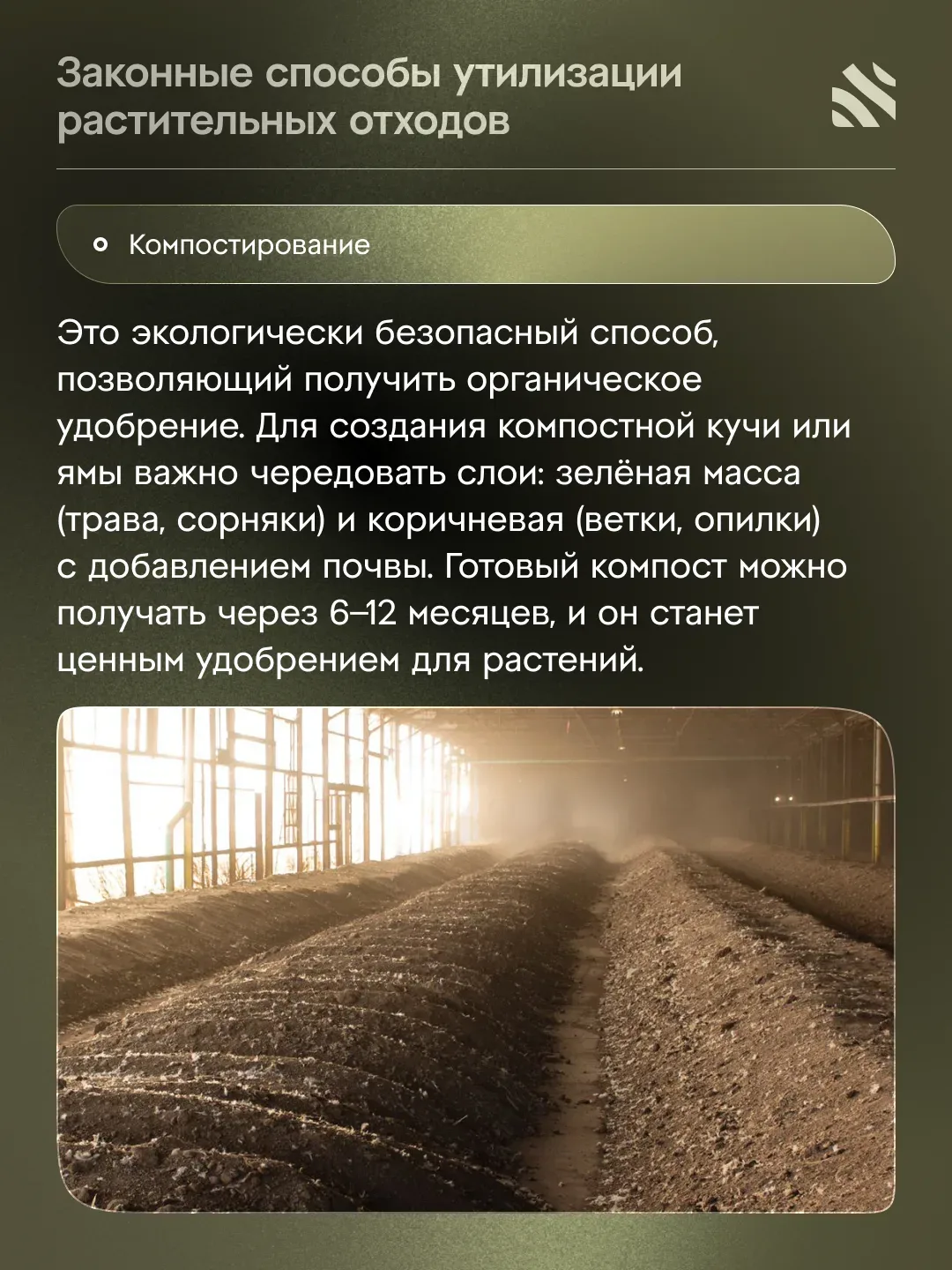 💰Как утилизировать сухие ветки и траву без штрафа  Утилизация растительных отходов – актуальная тема