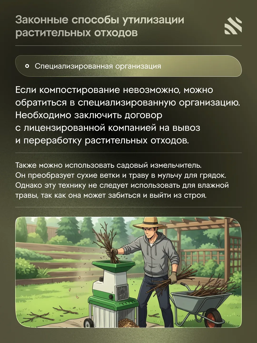 💰Как утилизировать сухие ветки и траву без штрафа  Утилизация растительных отходов – актуальная тема