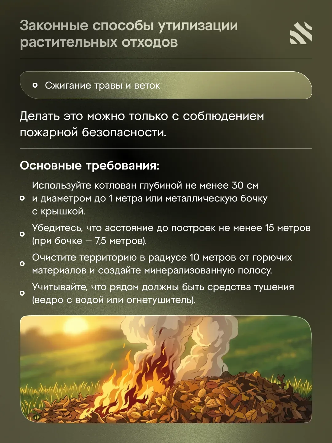 💰Как утилизировать сухие ветки и траву без штрафа  Утилизация растительных отходов – актуальная тема