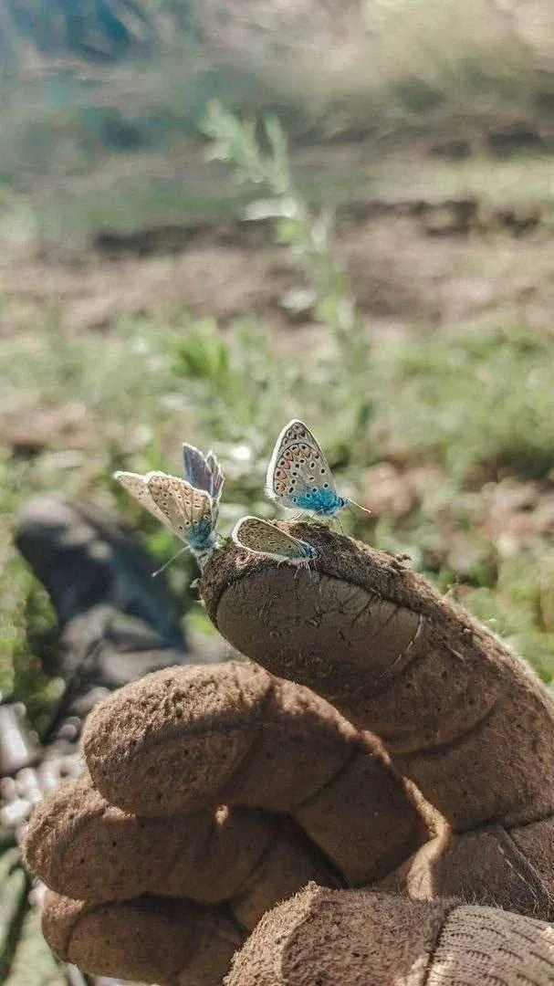 Минутка красоты с передовой😍  Подписчик поделился фотографией с нами ❤️   Подпишись на канал