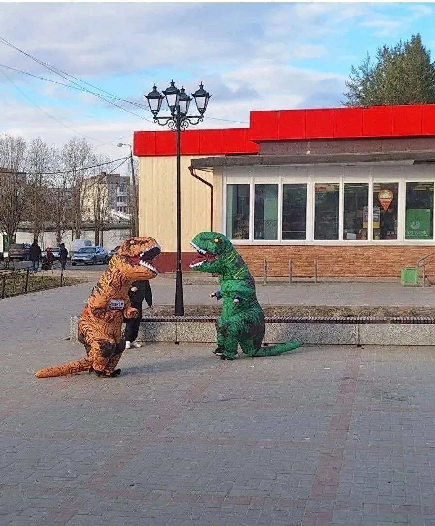Погода в регионе настолько быстро меняется, что проснулись динозавры и радуются весеннему теплу вмес