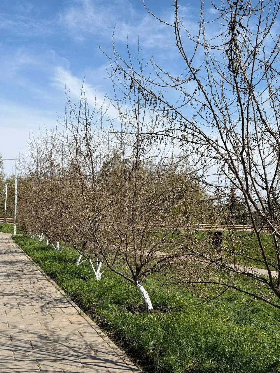🌿Чистота начинается с каждого из нас!   Весна — это время обновления, и наш город встречает её чисто