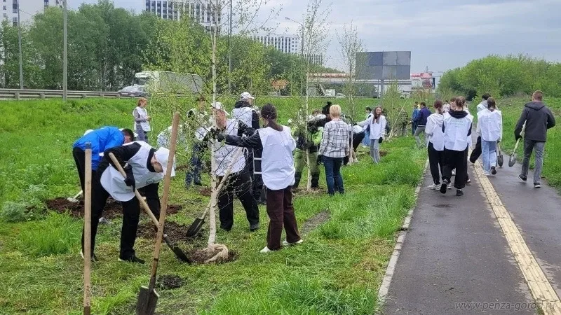 Весной в нашем городе запустили большую экологическую кампаню «Зелёная Пенза 2026». Задача — сохрани