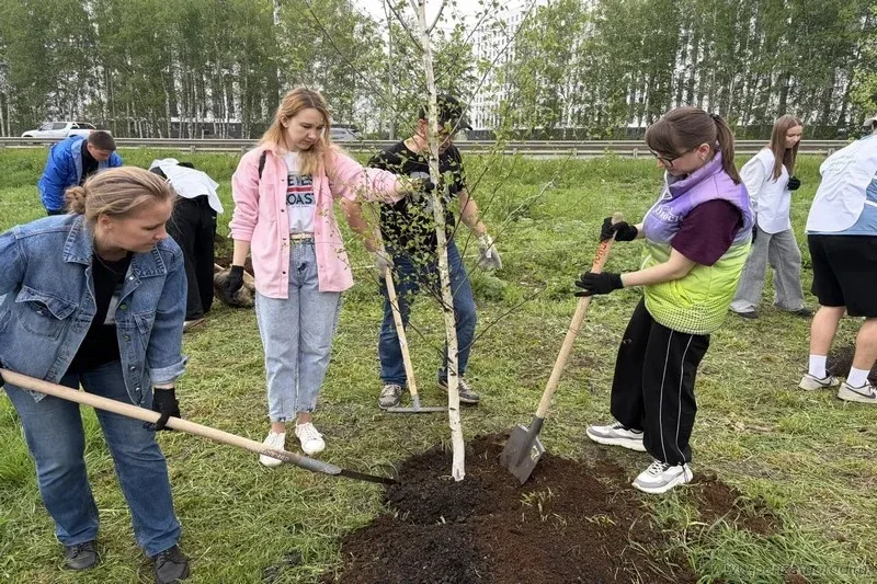 Весной в нашем городе запустили большую экологическую кампаню «Зелёная Пенза 2026». Задача — сохрани