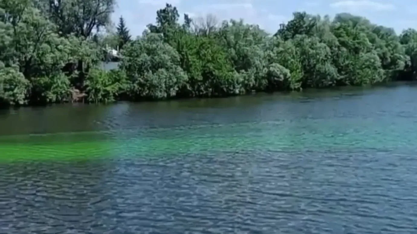 Какова красота! Сегодня вода в Суре окрасилась в необычный яркий цвет. Горожане уже начали бить трев