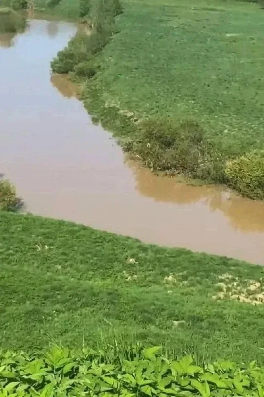 ❗️В Родниковском районе выясняют причины изменения цвета воды в реке Теза.  Необычное состояние реки