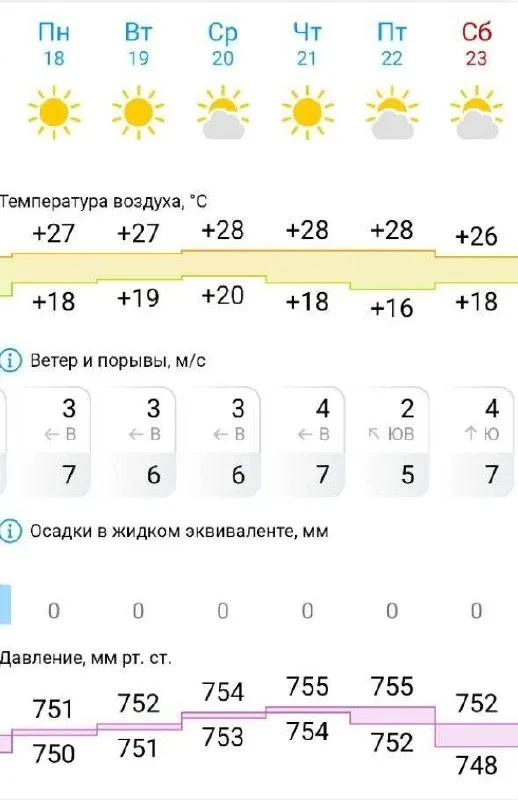 На следующей неделе в Новосибирске ожидается по-настоящему летняя погода. 🌤  Синоптики прогнозируют 