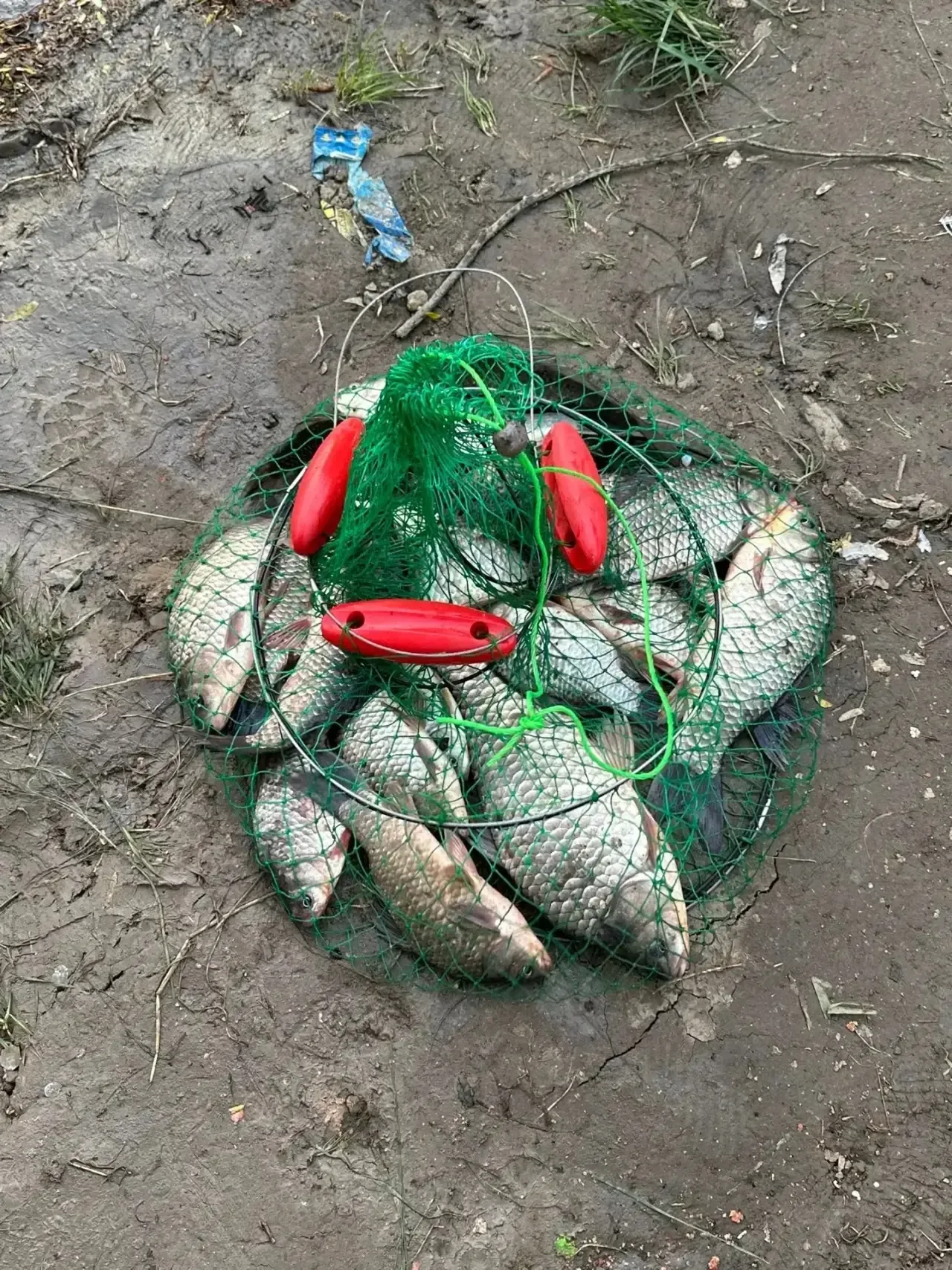 Река  Кубань 🐠 Возвле федоровского гидроузла  С 14 до 18  Опарыш и черьвь🐠  ОТКРЫТЬ ЧАТ 💬  Прислать 