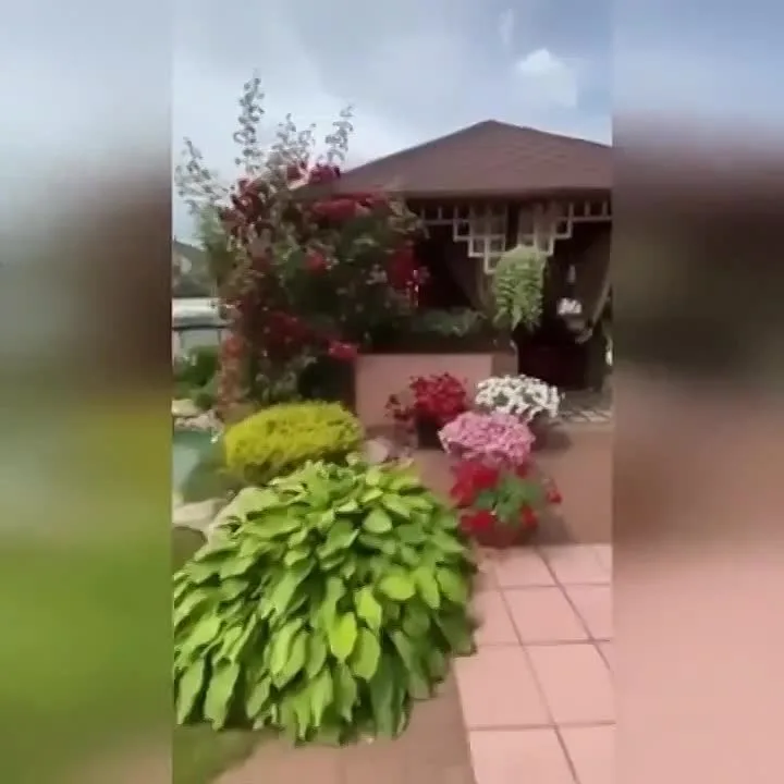 Видео