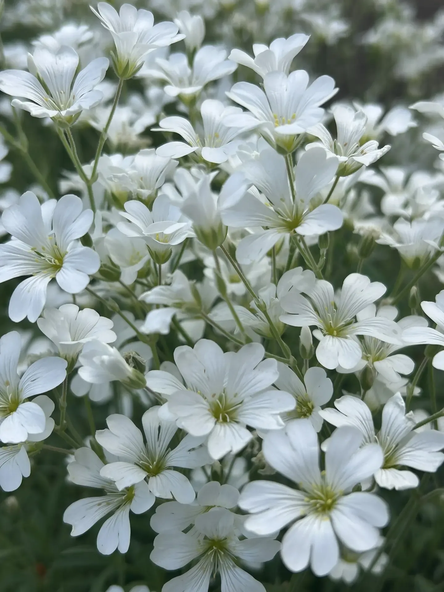 ☀️Доброе утро, друзья!  Вдохновляйтесь каждым мгновением, улыбайтесь чаще и помните: впереди - тольк