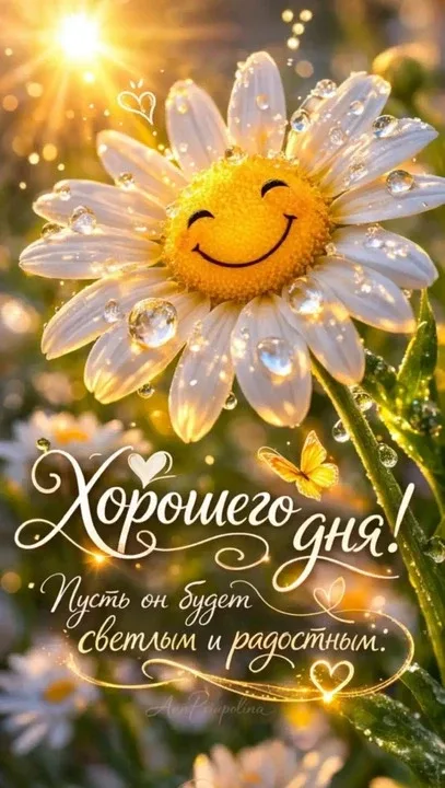 erid: 2W5zFHxTZ5T  🎉 Хотите всегда иметь под рукой самые красивые открытки и поздравления? 💌  🎂 Ярки
