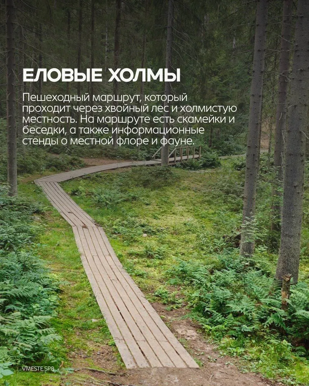 Праздники — всё💔  Но это не повод заканчивать веселье! Делимся подборкой — чем заняться в Петербурге