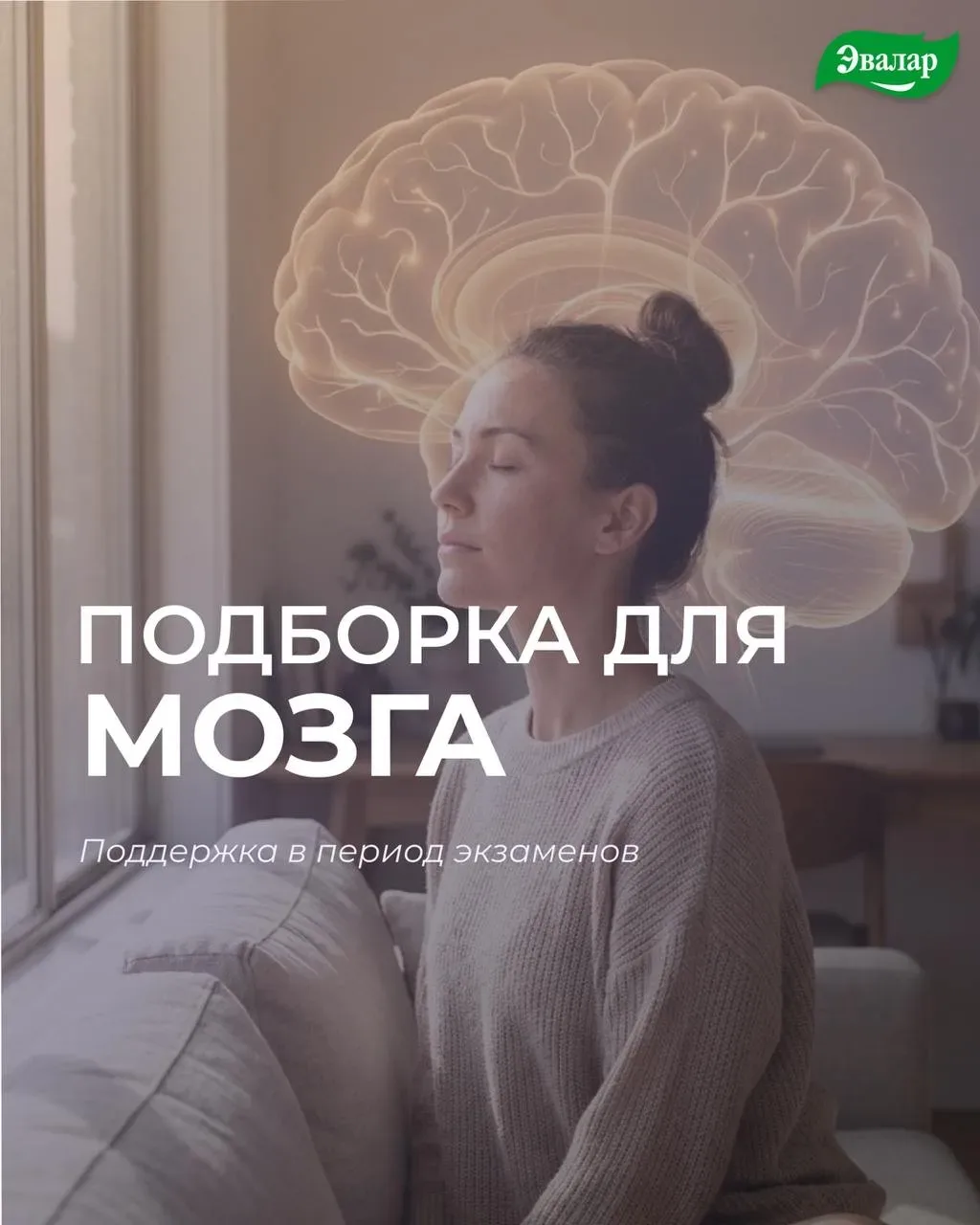 Мозг на экзамене: 4 нутриента, которые обсуждали эксперты в Сочи  Сейчас у студентов идет активная п