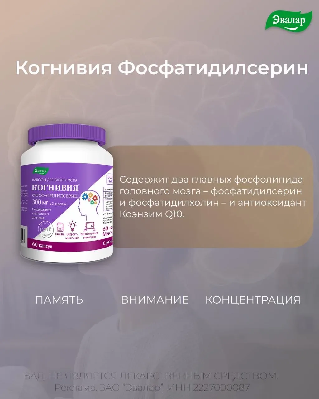 Мозг на экзамене: 4 нутриента, которые обсуждали эксперты в Сочи  Сейчас у студентов идет активная п