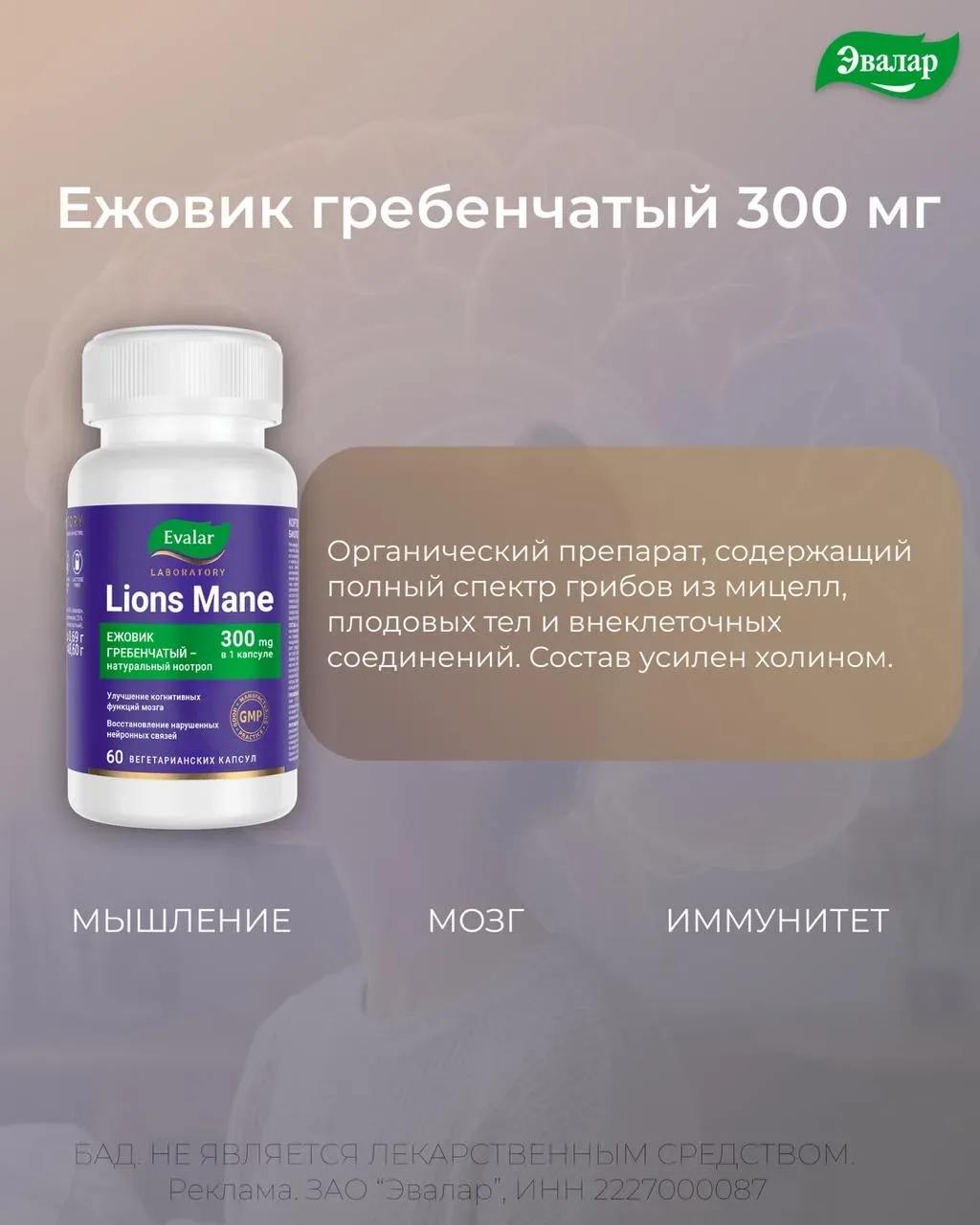 Мозг на экзамене: 4 нутриента, которые обсуждали эксперты в Сочи  Сейчас у студентов идет активная п