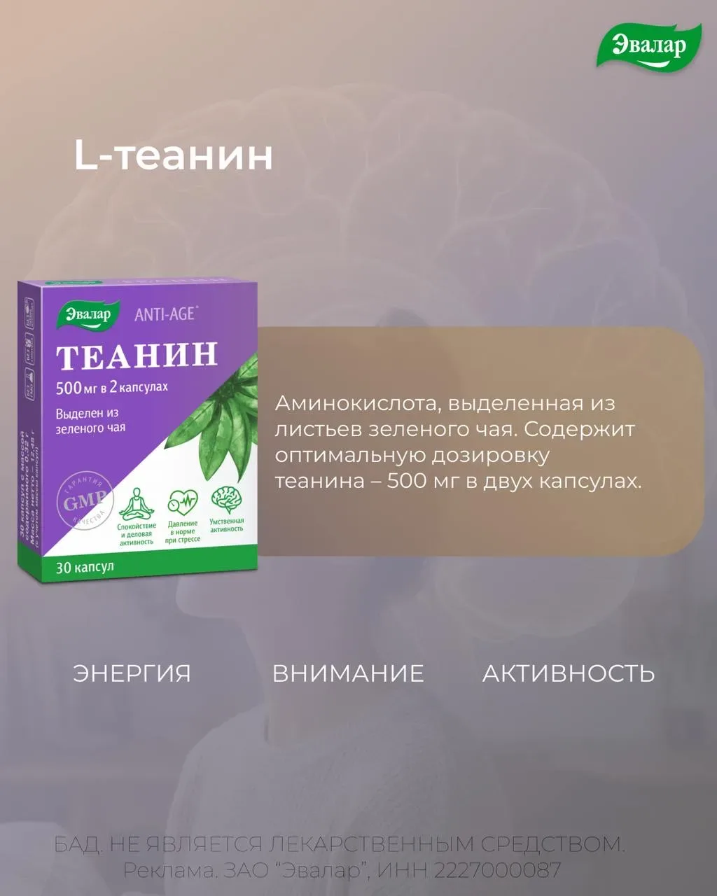 Мозг на экзамене: 4 нутриента, которые обсуждали эксперты в Сочи  Сейчас у студентов идет активная п