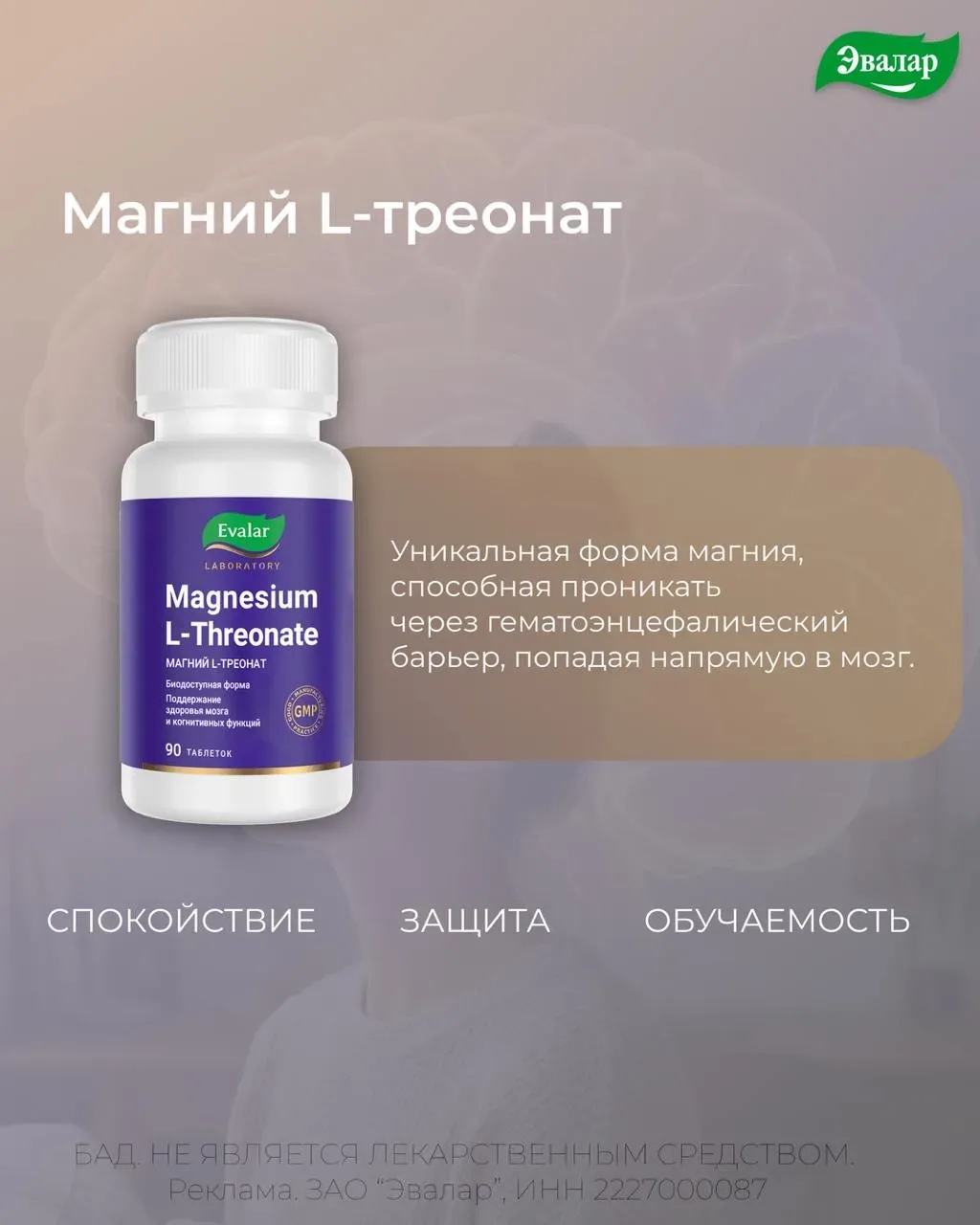 Мозг на экзамене: 4 нутриента, которые обсуждали эксперты в Сочи  Сейчас у студентов идет активная п