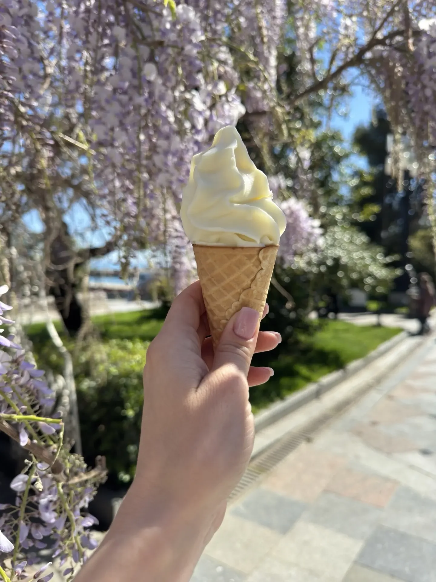 📍Ялта   Еще один прекрасный день в копилку ❤️