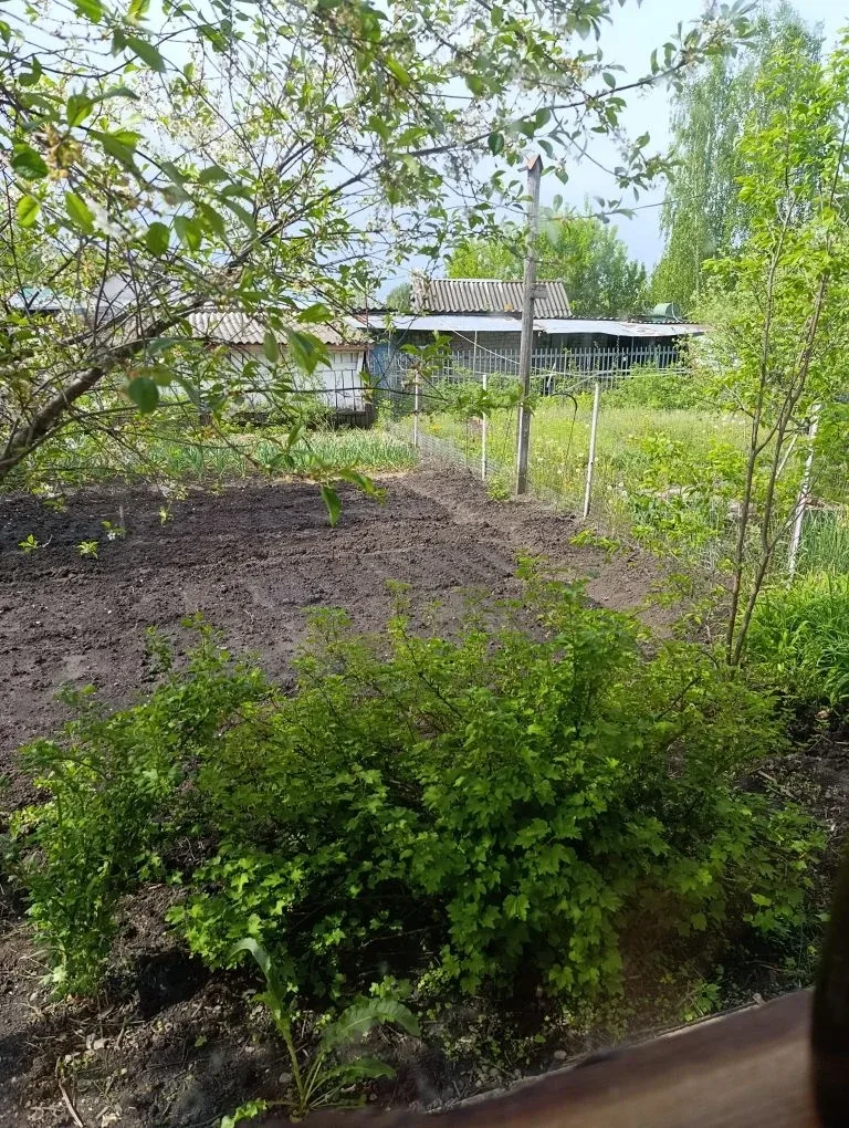 Доброе утро 💕 Сегодня расскажу куда я пропала и что из этого получилось 😄