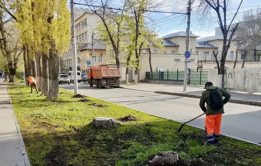 🌳 Продолжаем благоустройство территории района  🔸️Очищаем зелёные зоны; 🔸️Проводим подметание и мойк