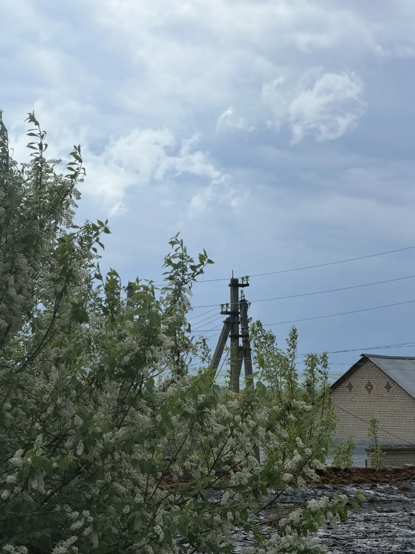 Сегодня у нас какое-то небывалое затишье…    На улице дождик. Дома сегодня почему-то по-особому тихо