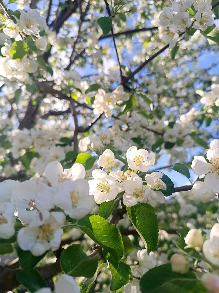 ☀Хорошего начала недели всем желают девушки-курсанты факультета подготовки сотрудников полиции и сле