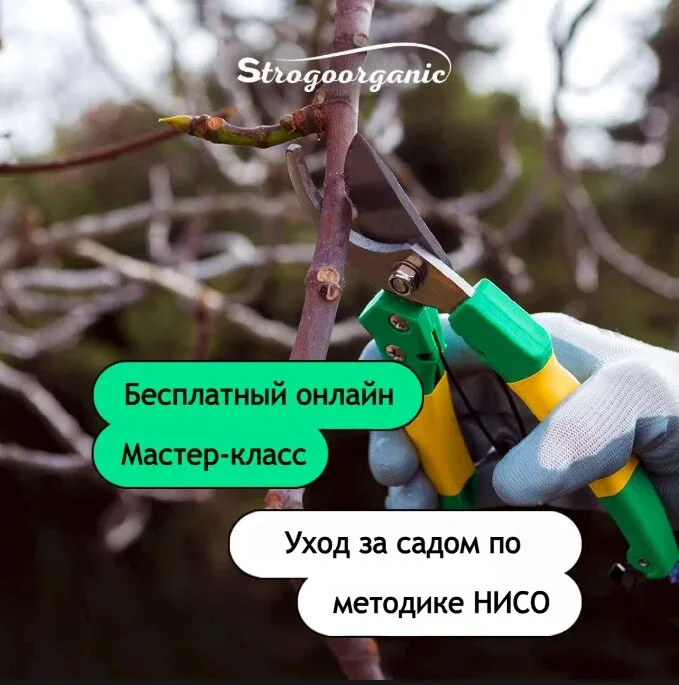 7 шагов к урожайному саду по методике НИСО  5 шагов к урожайному саду без лишних хлопот на онлайн-ин
