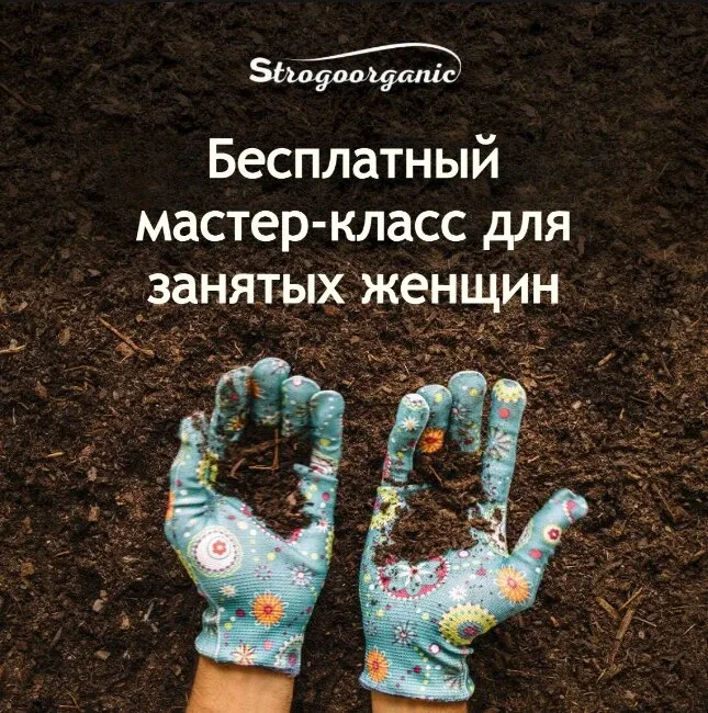 7 шагов к урожайному саду по методике НИСО  5 шагов к урожайному саду без лишних хлопот на онлайн-ин