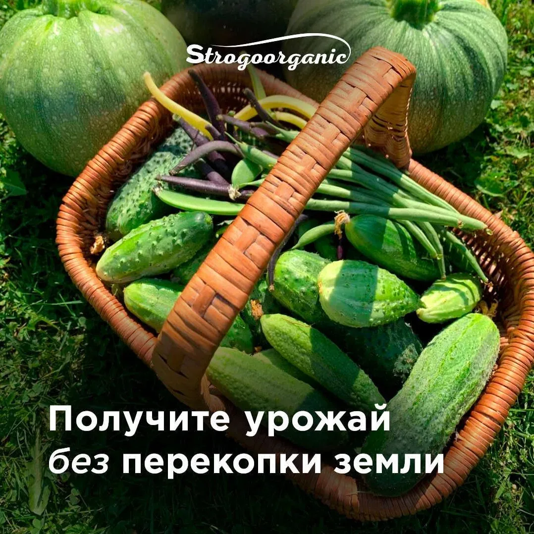 7 шагов к урожайному саду по методике НИСО  5 шагов к урожайному саду без лишних хлопот на онлайн-ин