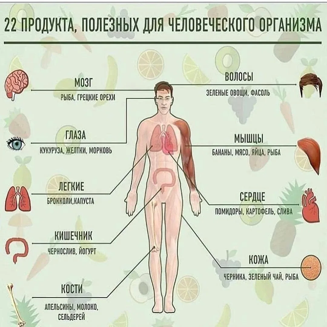 22 продукта, которые очень полезны для нашего организма!  Похудение | Тренировки