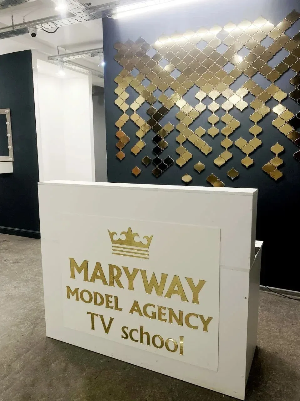 ⚖️ В Нижнем Новгороде будут судить банду лже-модельного агентства MaryWay  Перед судом предстанут 15