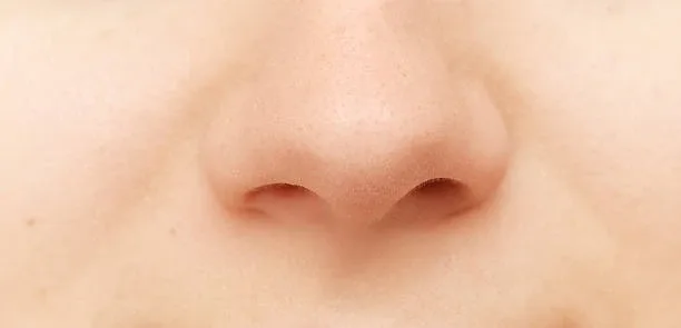 🔪 Нижегородец получил 2 года условно за частично откушенный нос во время драки    6 июля 2025 года в