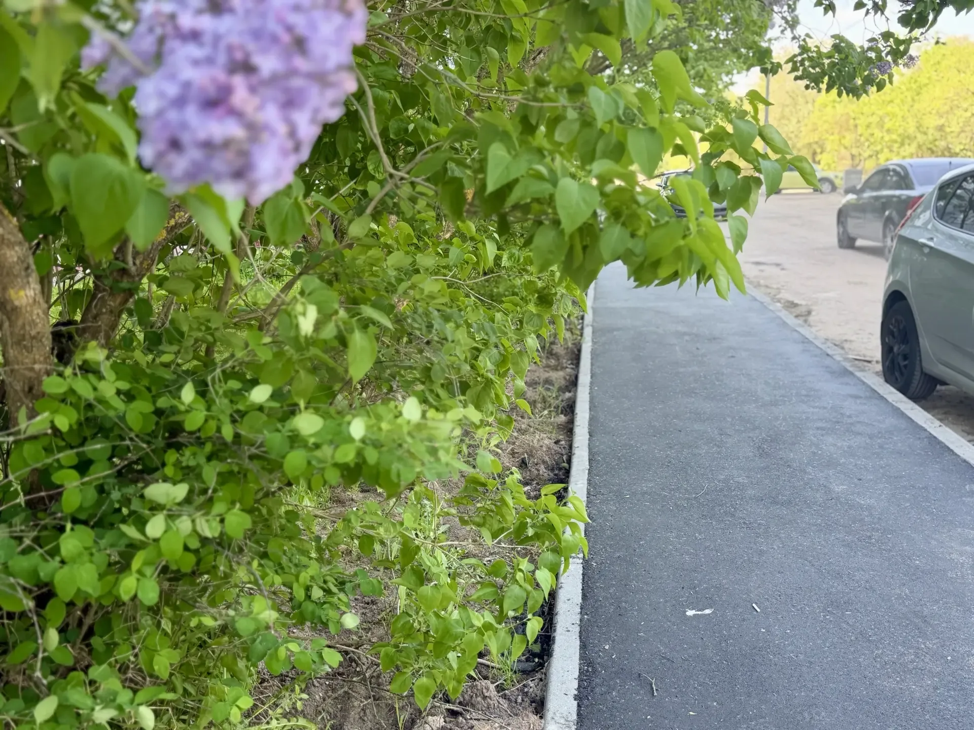 В Можайском округе продолжаются работы по комплексному благоустройству дворовых территорий   Сейчас 