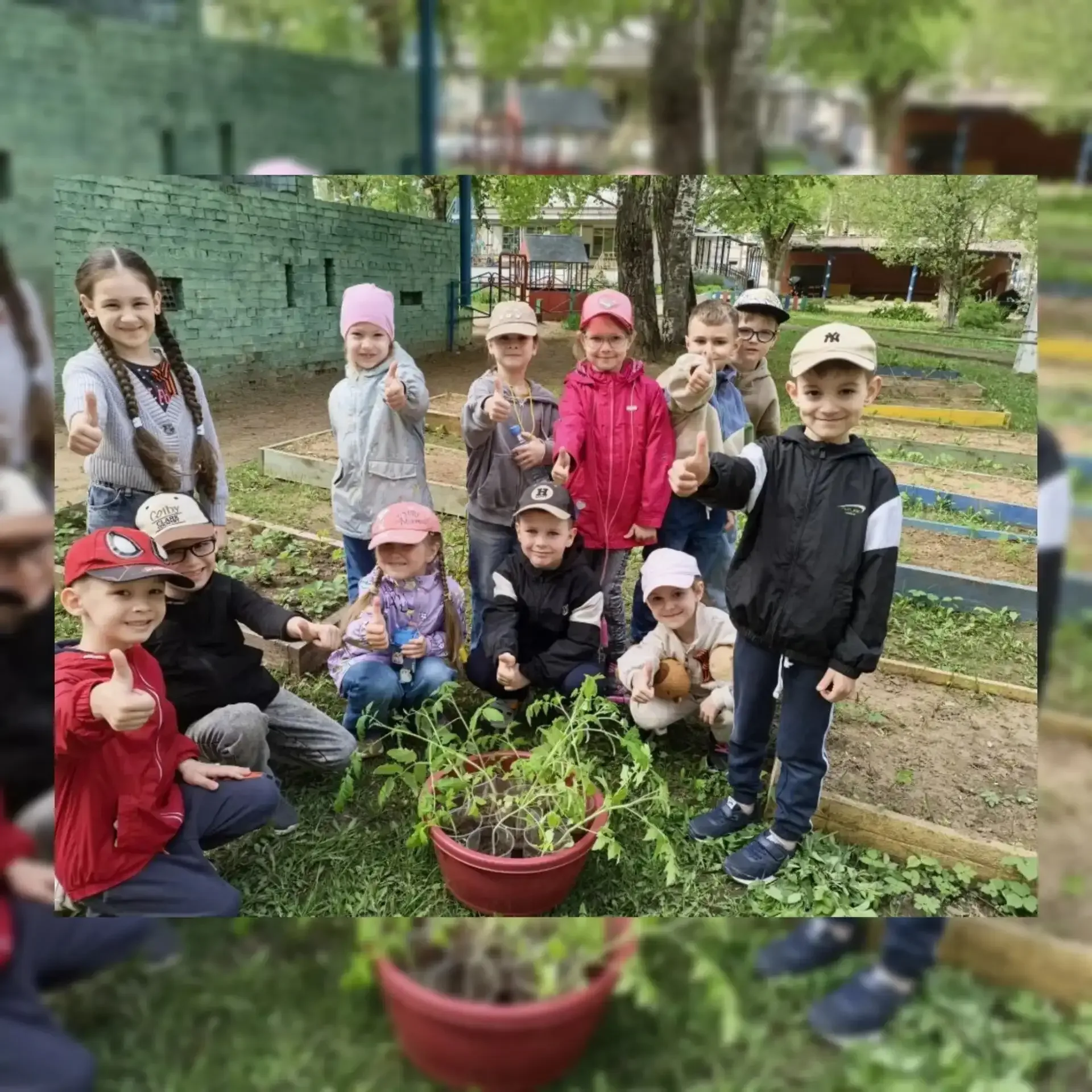 🌱 Наши юные огородники снова в деле! 🍅  С радостью сообщаем, что в дошкольном отделении  №77 продолж